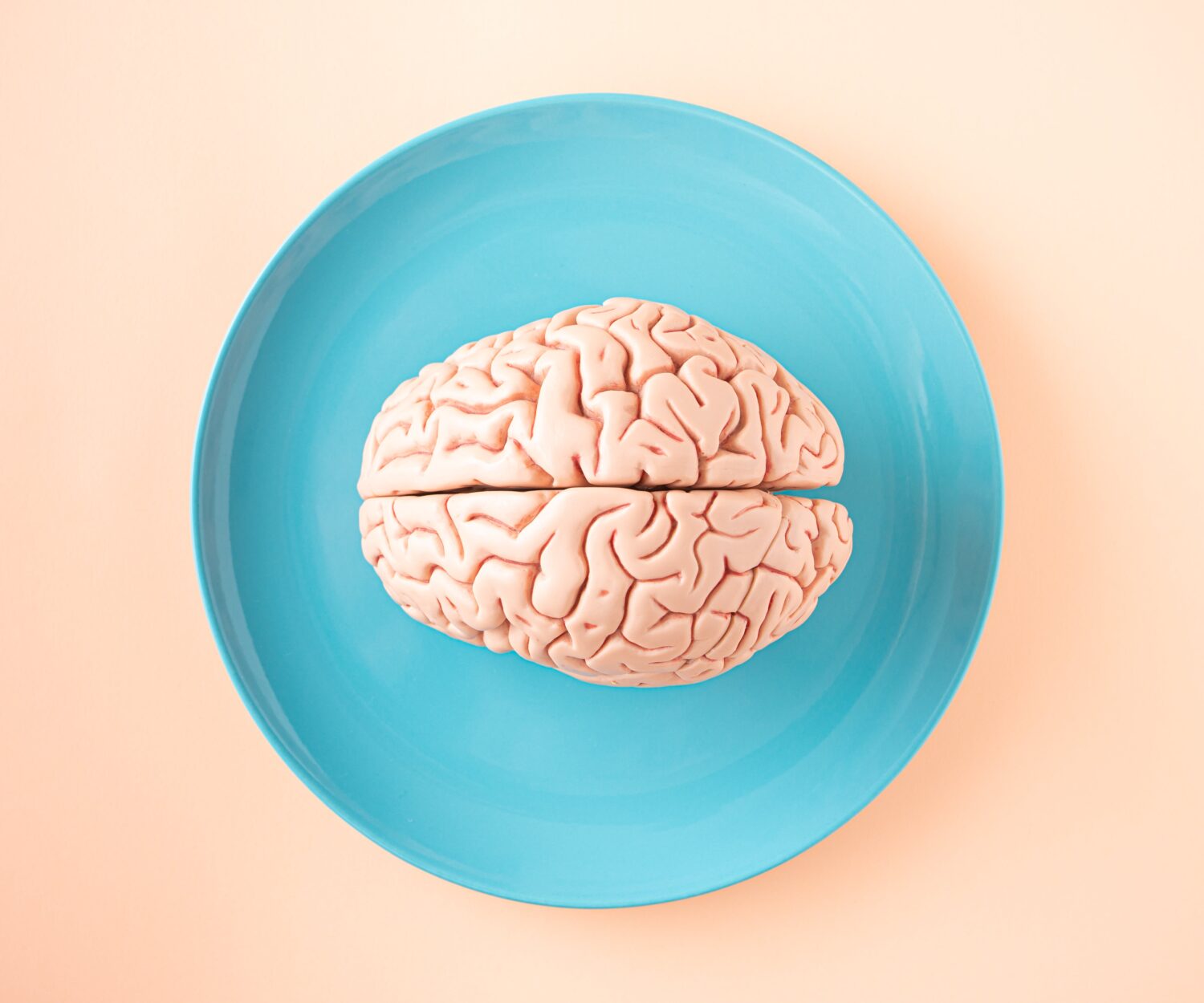 cerveau dans une assiette