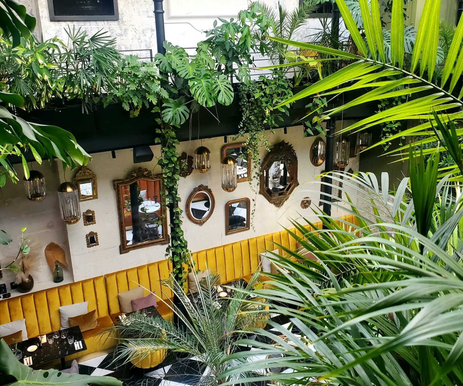 intérieur conception biophilie nature luxuriante dans patio intérieur